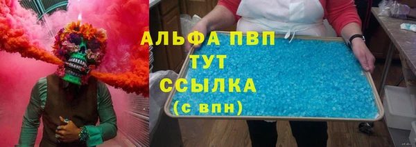 стаф Богданович